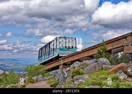 Aviemore Scozia inizio estate Cairngorm montagna la funicolare Hare treno ferroviario sopra il giardino Foto Stock