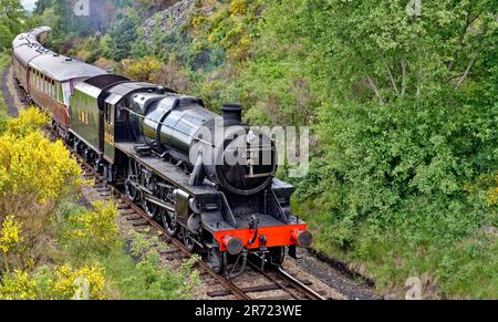 Strathspey Steam Railway Scozia nei primi mesi estivi il treno a vapore LMS 5025 arriva alla stazione di Broomhill Foto Stock