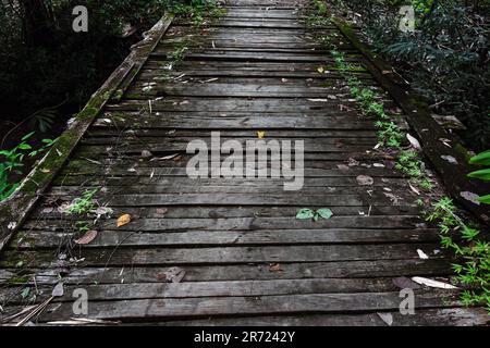 Vecchio ponte di legno nella foresta. Vista dal suolo del ponte con tavole di legno. Fotografia che consiste di un ponte di legno sopra il fiume per un parco naturale selvaggio. Piano Foto Stock