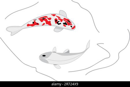 due carpe koi vettoriali: nero e rosso macchiato e bianco Illustrazione Vettoriale