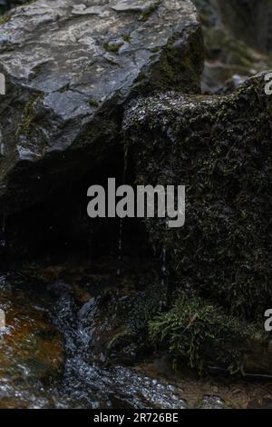 Un primo piano di un flusso d'acqua che scorre sulle rocce in un tranquillo ambiente all'aperto Foto Stock