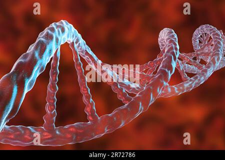 Molecola di DNA, computer grafica. La molecola di DNA (acido desossiribonucleico) è costituito da una lunga doppia elica di fosfati e di zuccheri, collegati da pai Foto Stock