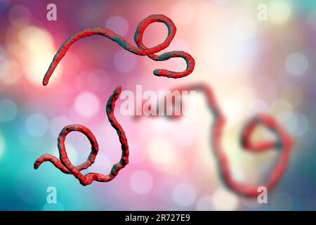 Virus Ebola particelle, illustrazione del computer. Il virus Ebola (EBOV) è la causa del virus ebola della malattia negli esseri umani e primati non umani. Si tratta di un seve Foto Stock