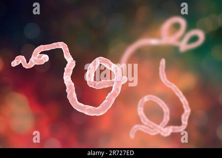 Virus Ebola particelle, illustrazione del computer. Il virus Ebola (EBOV) è la causa del virus ebola della malattia negli esseri umani e primati non umani. Si tratta di un seve Foto Stock
