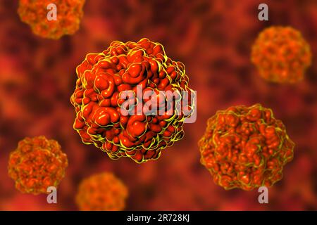 Parvovirus porcino, computer artwork. Modello molecolare che mostra la struttura del capside (rivestimento proteico esterno) di un parvovirus suino (famiglia Parvovi Foto Stock