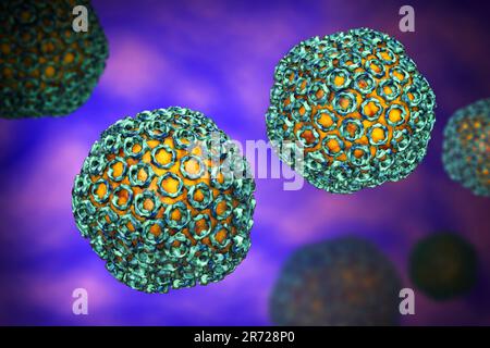 La febbre della valle del Rift, particelle di virus, illustrazione del computer. Questa particella di virus consiste di un RNA (acido ribonucleico) genoma racchiuso in una proteina capsi Foto Stock