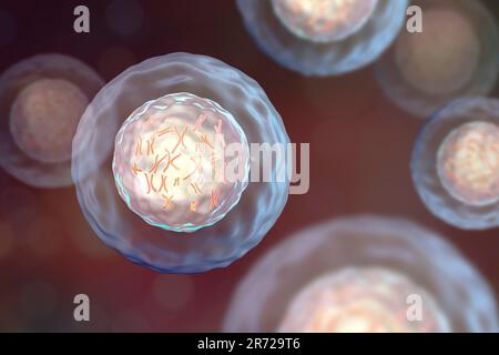 Cellula umana con cromosomi all'interno, opere d'arte. I cromosomi, che consistono di due cromatidi identici Uniti ad un centromero (luce), sono composti da de Foto Stock