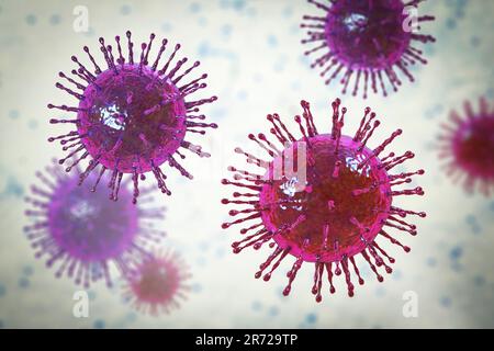 Particelle di coronavirus, illustrazione del computer. Diversi ceppi di coronavirus sono responsabili di malattie come il raffreddore comune, la gastroenterite A. Foto Stock