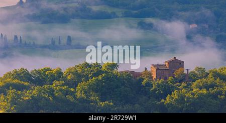 Una mattinata gloriosa con qualche nebbia di un paesaggio toscano con i famosi cipressi in calda luce mattutina. La foto è stata scattata in Val d'Orcia, in cen Foto Stock