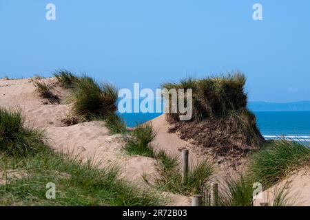 Dune di sabbia a Northam Burrows, vicino a Westward ho, North Devon Foto Stock