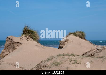 Dune di sabbia a Northam Burrows, vicino a Westward ho, North Devon Foto Stock