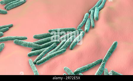 I batteri responsabili della tubercolosi. Illustrazione del calcolatore di Mycobacterium tuberculosis, i batteri Gram-positivi a forma di asta i batteri che causano la malattia vasca Foto Stock