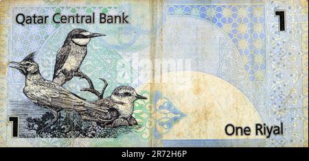 Grande frammento del lato opposto di 1 Qatari Riyal denaro contante moneta di Qatar banconota con uccelli nativi Quark Galerida cristata, eurasiatica Foto Stock