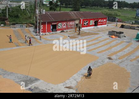 Munshiganj, Dacca, Bangladesh. 29 settembre 2022. Gli operai della riseria girano la risaia per asciugarla sotto il sole a Munshiganj, Bangladesh. Quando Paddy è har Foto Stock