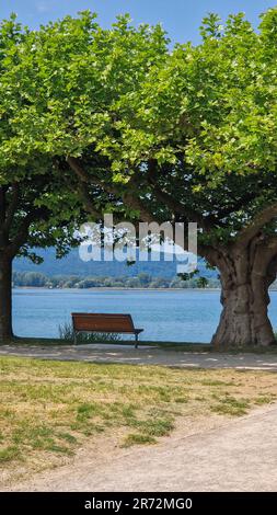 Vacanza estiva sul bellissimo lago di Costanza con cielo blu e sole Foto Stock