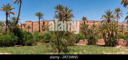 Terreno agricolo di fronte al pittoresco villaggio berbero di Tamenougalt nella valle del Draa, un turista che è guidato da un berbero al villaggio, Marocco Foto Stock