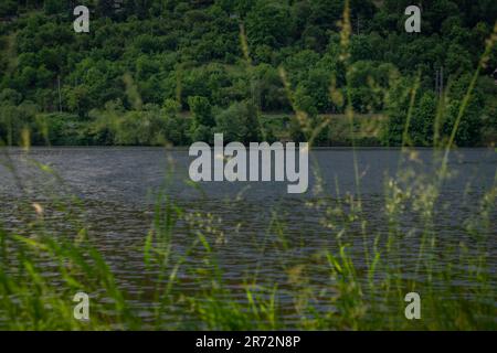 Valle del fiume Labe in giorno caldo di sole vicino al grande villaggio di Brna nad Labem Foto Stock