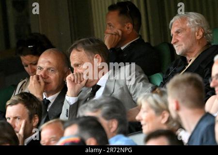 12 giugno 2023, Brema: Calcio: Internazionale, Germania - Ucraina, a wohninvest Weserstadion. Il Presidente del DFB Bernd Neuendorf (l-r), il Presidente del Consiglio di sorveglianza della DFL Hans-Joachim Watzke siedono negli stand accanto a Rudi Völler, direttore della squadra nazionale tedesca degli anziani. NOTA IMPORTANTE: In conformità ai requisiti della DFL Deutsche Fußball Liga e/o della DFB Deutscher Fußball-Bund, è vietato sfruttare o sfruttare le fotografie scattate nello stadio e/o della partita sotto forma di sequenze di immagini e/o di serie di foto tipo video. Foto: Federico Gambarini/dpa Foto Stock