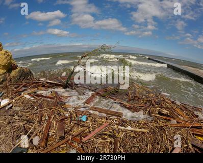 Odessa, Ucraina. 12th giugno, 2023. I detriti galleggianti hanno raggiunto le spiagge del Mar Nero a Odessa, Ucraina. Disastro ambientale causato dall'esplosione della diga della centrale idroelettrica di Kakhovka (Credit Image: © Andrey Nekrasov/ZUMA Press Wire) SOLO USO EDITORIALE! Non per USO commerciale! Foto Stock