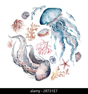 Acquerello illustrazioni di animali marini polpi, cavalluccio marino, granchio, stelle marine, meduse. Vita marina in un'illustrazione rotonda. Cartolina di disegno, adesivo, s Foto Stock