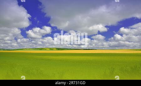 Bella natura tranquilla background.Amazing scena rurale.Unique Estate Landscape.Green campo e grano.Blue cielo e nuvole.artistico sfondo. Foto Stock