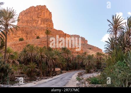 Magnifica oasi nella gola di Ait Mansour sulle montagne dell'Anti-Atlante, Marocco Foto Stock