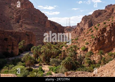 Magnifica oasi nella gola di Ait Mansour sulle montagne dell'Anti-Atlante, Marocco Foto Stock