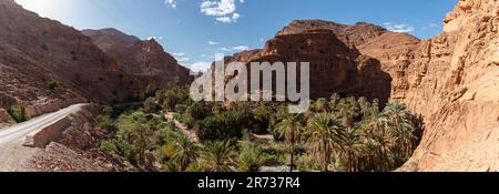 Magnifica oasi nella gola di Ait Mansour sulle montagne dell'Anti-Atlante, Marocco Foto Stock