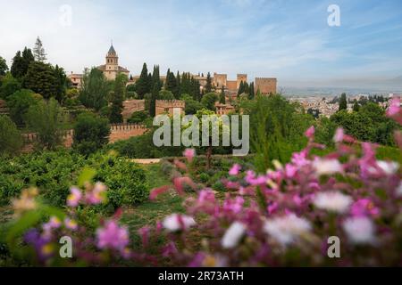 Vista dell'Alhambra con fiori - Granada, Andalusia, Spagna Foto Stock