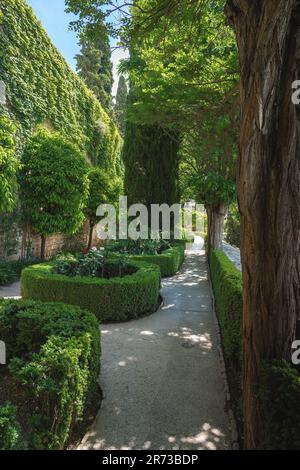 Giardino dei bastioni (Jardin de los Adarves) nella zona di Alcazaba della fortezza di Alhambra - Granada, Andalusia, Spagna Foto Stock