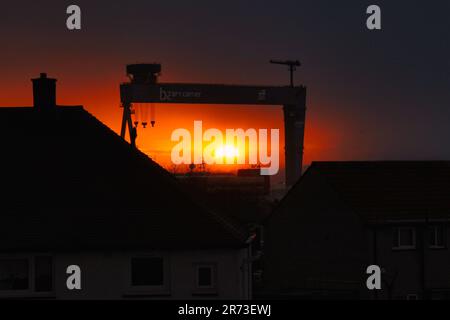 Rosyth Port, gru Foto Stock