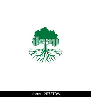 Logo Tree Oak. Illustrazione del vettore Oak. Albero organico Illustrazione Vettoriale