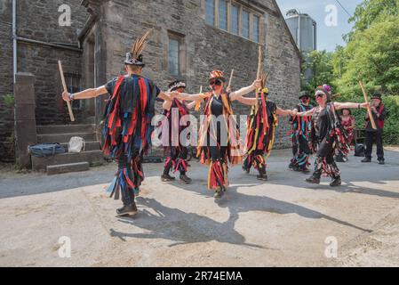 Flagcrackers of Craven Morris Side che si esibiscono presso la Cappelside Farm, Rathmell, Open Farm Day, 13th giugno 2023, Foto Stock