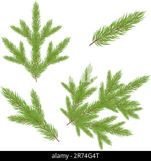Albero di pelliccia verde di Natale con decorazione. Illustrazione vettoriale Illustrazione Vettoriale