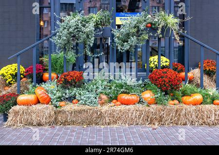 Zucche colorate, fiori autunnali e balle di fieno creano un lussuoso decor di Halloween e del Ringraziamento all'entrata del cafe'. Foto Stock