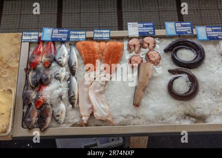 Editoriale: FUNCHAL, MADEIRA, PORTOGALLO, 30 MAGGIO 2023 - esposizione di tonno, conca, pesce gatto, salmone, spigola, Gilt-testa di mare e wrasse sul Farmer' Foto Stock