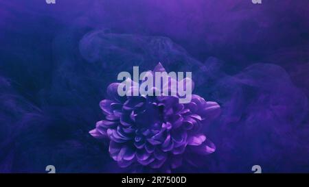 Fiore fumo vernice acqua blu petali nebbia Foto Stock