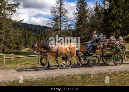 Georgitt 2023 a Mittenwald, Baviera, Germania. Foto Stock