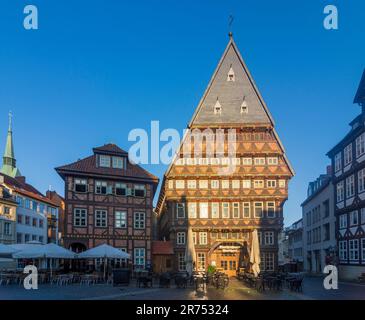 Hildesheim, piazza Markt, Bäckeramtshaus (Baker's Guild Hall), Knochenhaueramtshaus (Butcher's Guild Hall), casa a graticcio, Città Vecchia nella Regione Hannover, bassa Sassonia, Germania Foto Stock