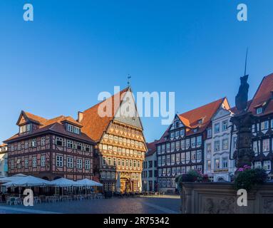 Hildesheim, piazza Markt, Bäckeramtshaus (Baker's Guild Hall), Knochenhaueramtshaus (Butcher's Guild Hall), casa a graticcio, fontana Rolandsbrunnen, Città Vecchia nella regione di Hannover, bassa Sassonia, Germania Foto Stock