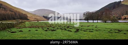 Nel mese di marzo e con un'infestazione di mole, una vista a sud attraverso Loch dei Lowes da Tibbie Shiels Inn. Dumfries e Galloway, frontiere, Scotlanda Foto Stock