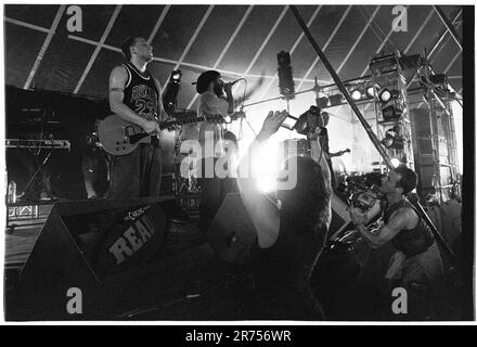 MANCHILD, READING FESTIVAL, 2000: I Manchild sono girati in video Playing the Dance Tent al Reading Festival, 27 agosto 2000. Foto: Rob Watkins. INFO: I Manchild sono stati un gruppo musicale britannico fondato da Max Odell e Brett Parker che fondeva trip-hop, electronica e alternative rock alla fine degli anni '1990 Conosciuto per tracce come Return to the Dragon, il gruppo comprendeva membri che in seguito formarono altri progetti. Foto Stock