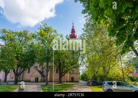 Orth an der Donau, chiesa Orth a Donau, bassa Austria, Austria Foto Stock