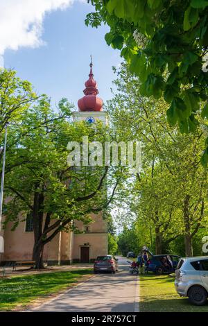 Orth an der Donau, chiesa Orth a Donau, bassa Austria, Austria Foto Stock