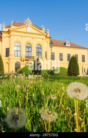 Parco nazionale Donau-Auen, Parco nazionale Danubio-Auen, Castello Schloss Eckartsau a Donau, bassa Austria, Austria Foto Stock