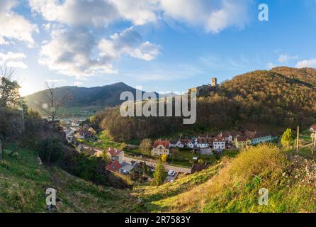 Spitz, vista dalla collina Tausendeimerberg al Castello ruine Hinterhaus a Wachau, bassa Austria, Austria Foto Stock