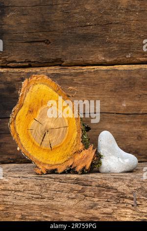 Pezzo di legno di segato fuori albero, pietra a forma di cuore, vita ferma Foto Stock