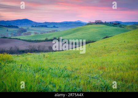 Italia, Toscana, provincia di Siena, Val d'Asso, paesaggio toscano con verdi praterie e colline con classica fattoria in cima Foto Stock