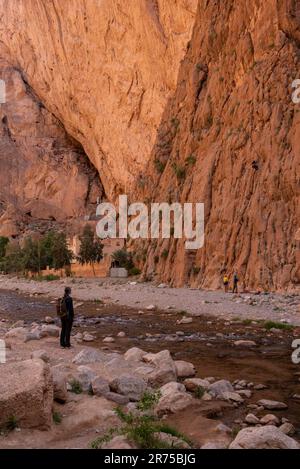 Impressionante gola ripida Todra nelle montagne dell'Atlante del Marocco Foto Stock