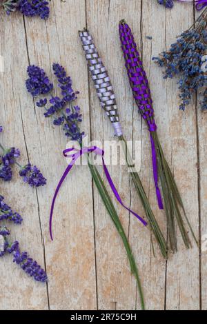 Lavanda inglese (Lavandula angustifolia, Lavandula officinalis), bastoncini di lavanda, lavanda fresca avvolta con nastro di raso per armadio di lino Foto Stock